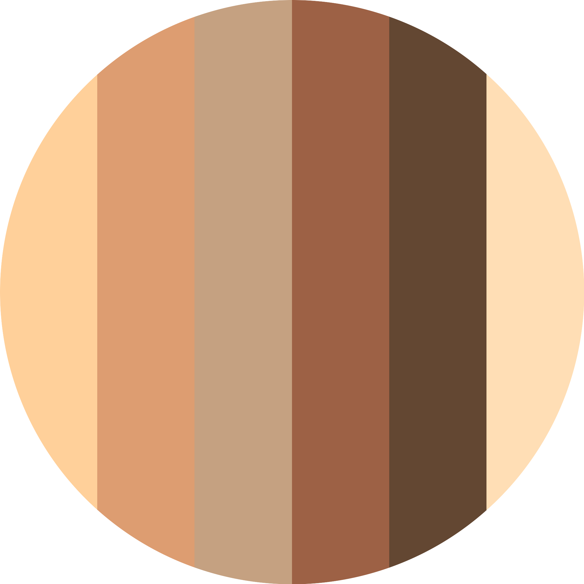 The Dark Cocoa Eyeshadow Palette 9g