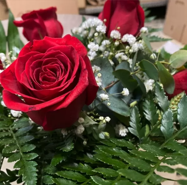 Ramo 6 Rosas Rojas - Comprar online en 