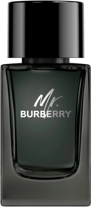 Mr. Burberry Mr. Burberry