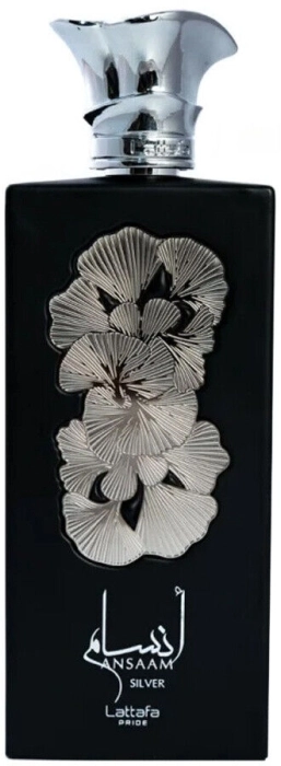 Ansaam Silver Ansaam Silver