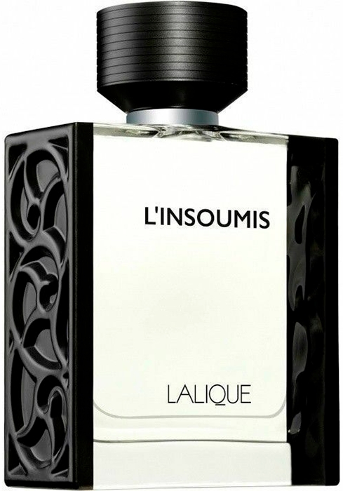 L'Insoumis L'Insoumis