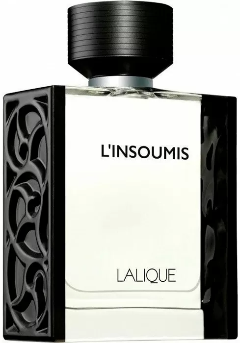 L'Insoumis