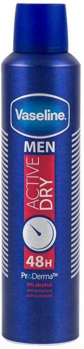 Deo Spray Men Active Dry 48h