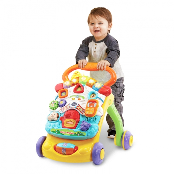 Correpasillos Vtech Multicolor (9+ meses) (Es)