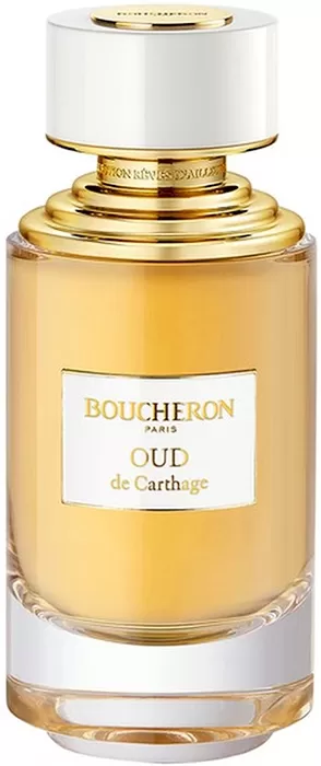 Oud de Carthage