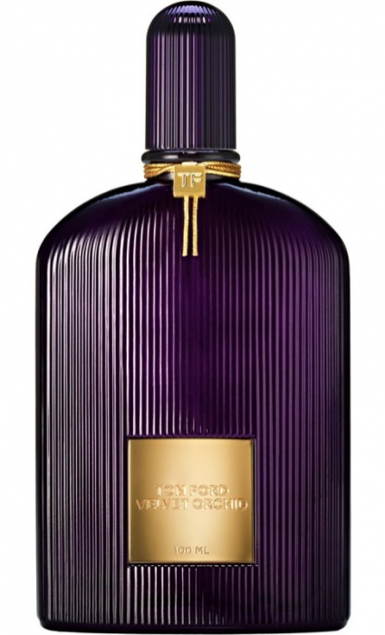 Velvet Orchid Velvet Orchid