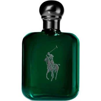 Polo Cologne Intense