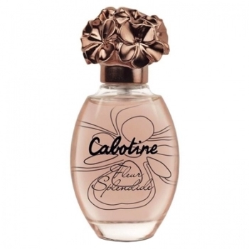 Cabotine Fleur Splendide