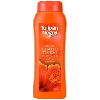 Champú Cabello Teñido Hidratación & Brillo