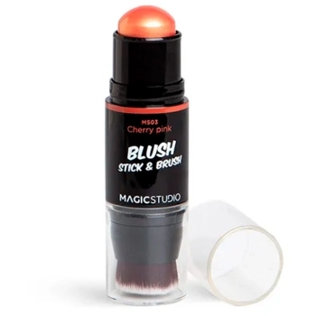 Blush Stick & Brush