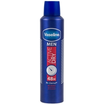 Deo Spray Men Active Dry 48h