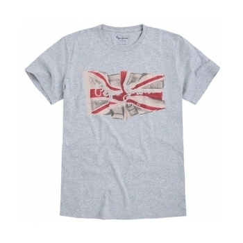 Camiseta Flag Logo Gris Camiseta Flag Logo Gris
