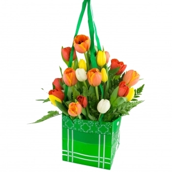 Bolso de Tulipanes
