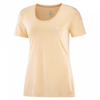 Camiseta de Manga Corta Mujer Salomon Agile Amarillo Marrón Camiseta de Manga Corta Mujer Salomon Agile Amarillo Marrón