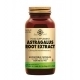 Astragalus Root Extract 60 Cápsulas Astragalus Root Extract 60 Cápsulas