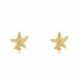 Pendientes Mujer Lancaster JLA-EAR-STAR-6