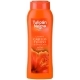 Champú Cabello Teñido Hidratación & Brillo 400ml Champú Cabello Teñido Hidratación & Brillo 400ml