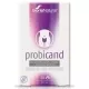 Probicand 20 cápsulas Probicand 20 cápsulas
