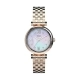 Reloj Mujer Timex TW2T78800 (Ø 28 mm)