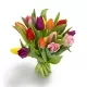 Ramo Tulipanes Ramo Tulipanes