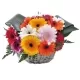 Cesta de Gerberas Cesta de Gerberas