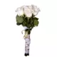Ramo Shine White Ramo Shine White