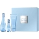 Set Cool Water Woman edt 100ml + edt 15ml + Body Lotion 75ml Set Cool Water Woman edt 100ml + edt 15ml + Body Lotion 75ml