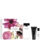 Set Pure Musc For Her edp 100ml + edp 10ml + Body Lotion 50ml